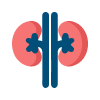 Kidney Problems Image