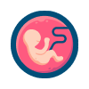 Fertility Problems Image